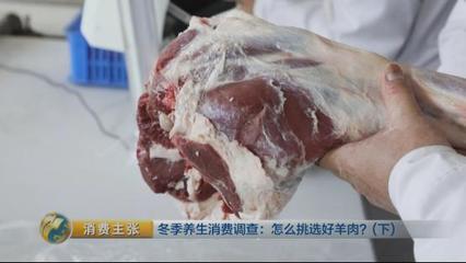 看顏色、聞味道，正宗的自然放牧草原羊肉這樣辨別！